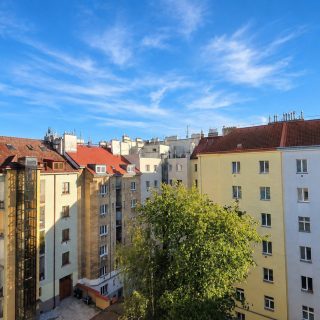 Výhled